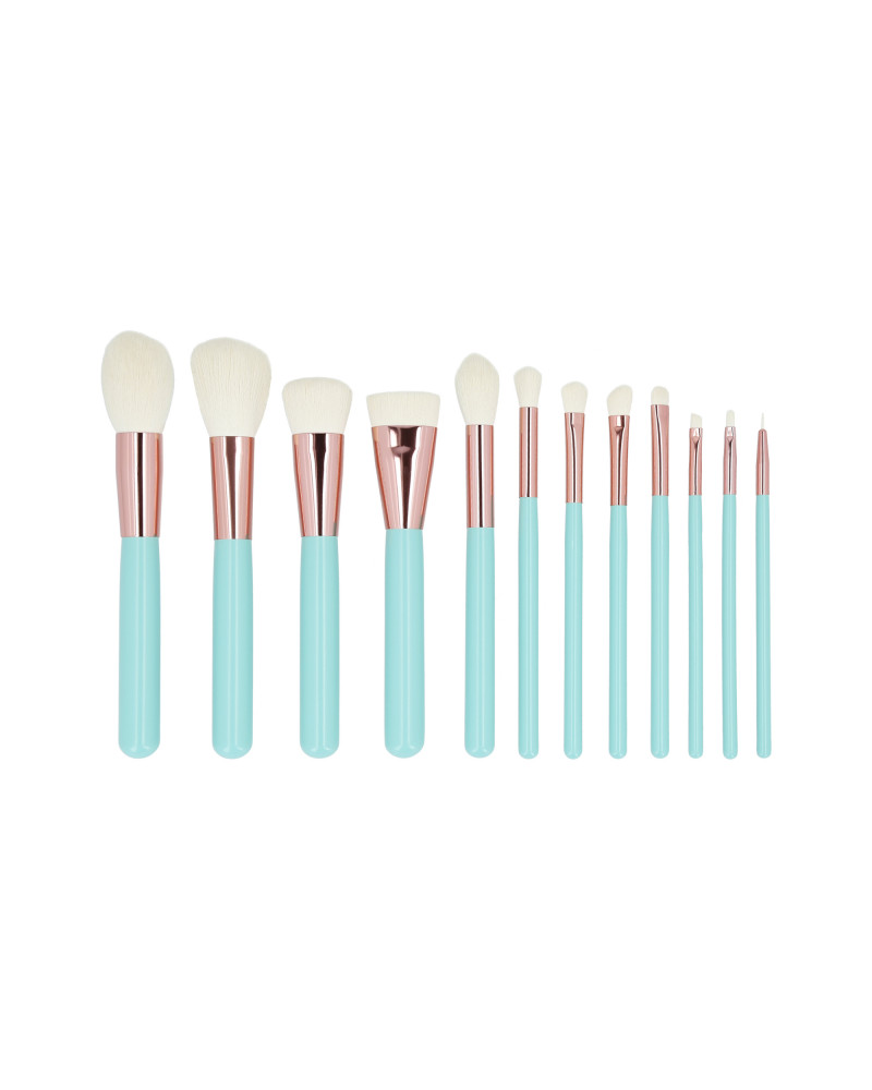 MIMO 12 pcs makeup brush set with case, Turquoise